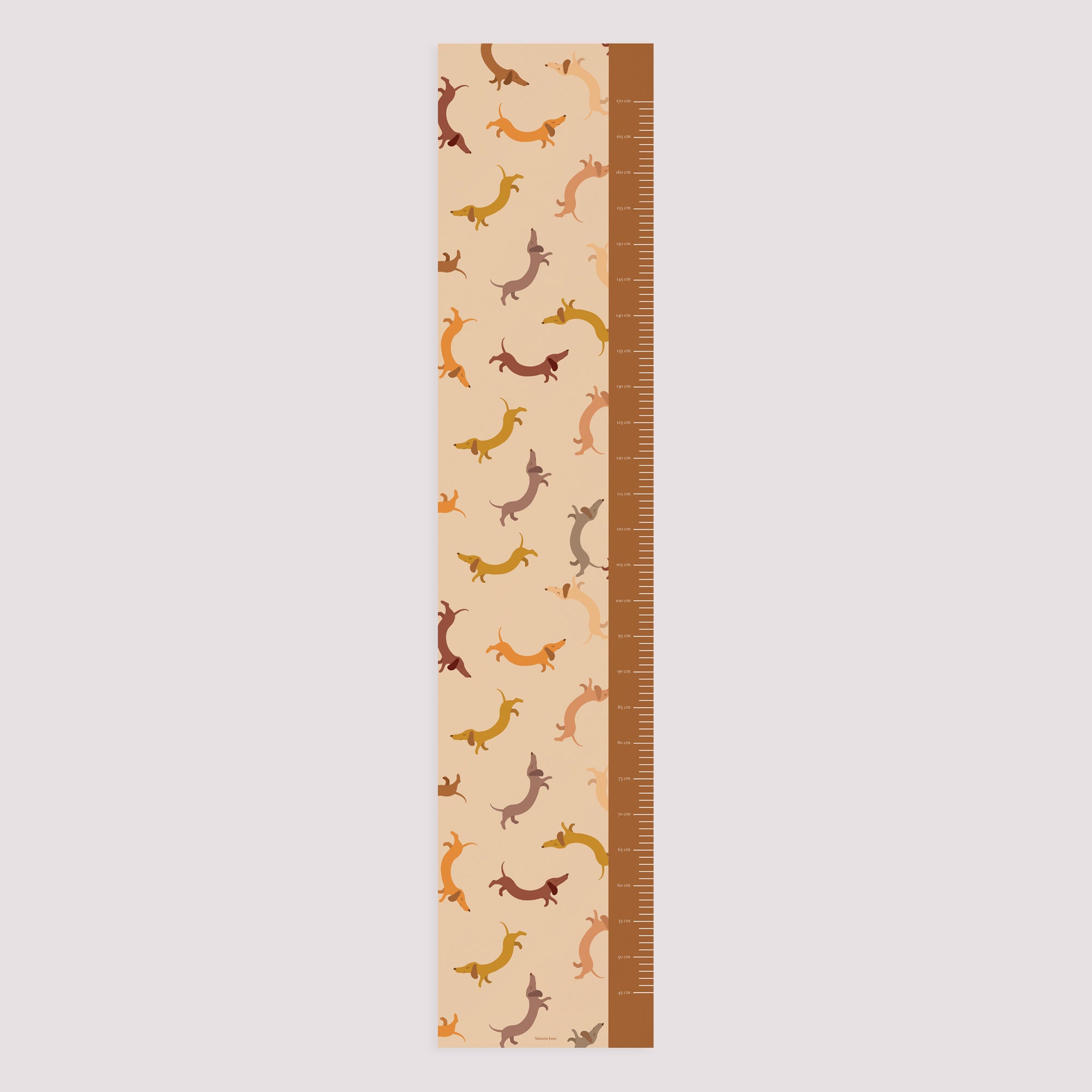Toise Naissance Papier Hot Dog photo N° 5