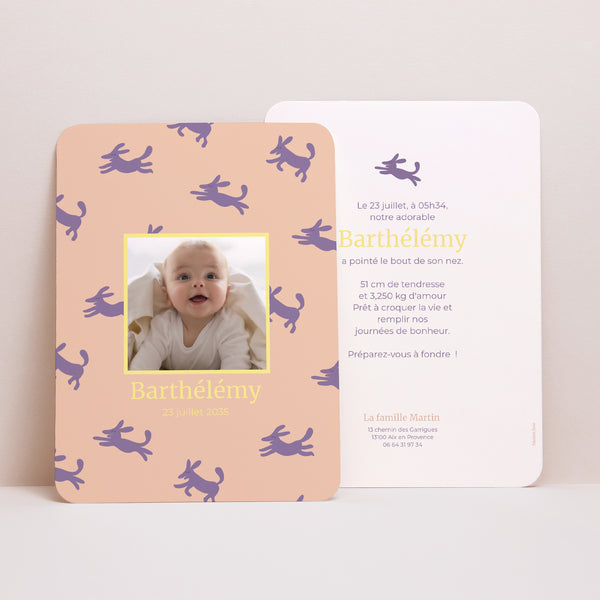 Faire-part Naissance Portrait, bords arrondis Bestioles photo