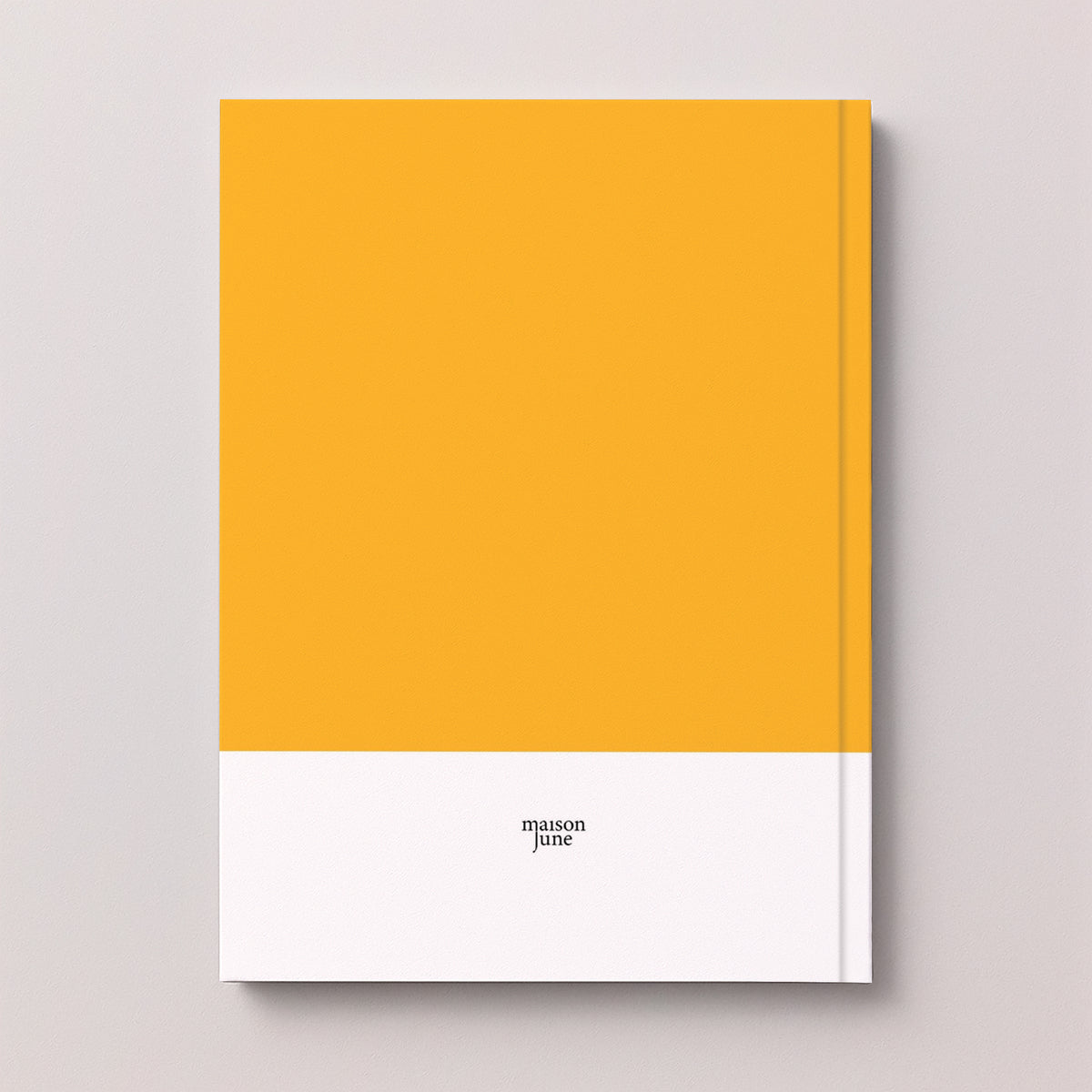 Album photo Photos A4 portrait 48 pages Carnet de couleurs photo N° 5