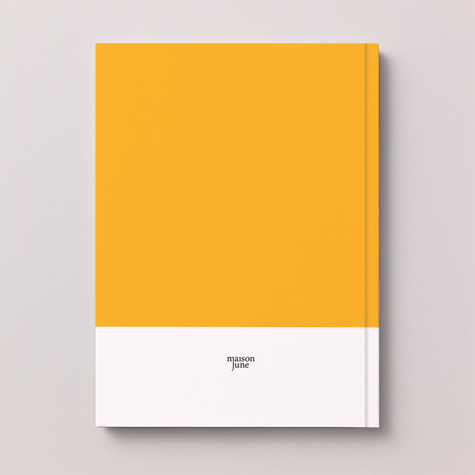 Album photo Photos A4 portrait 48 pages Carnet de couleurs photo N° 5