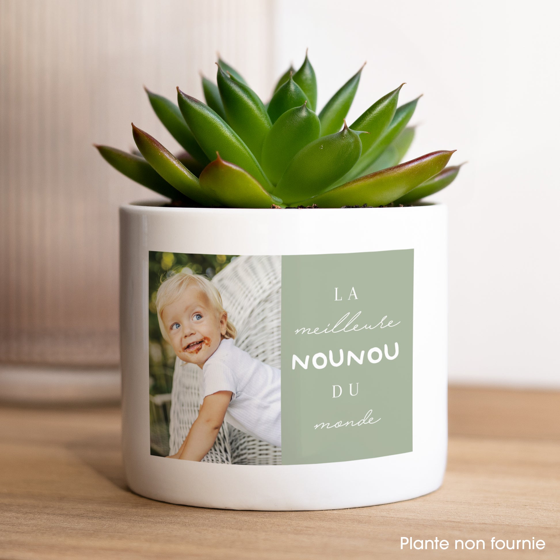 Pot de fleurs 48 cl Meilleure nounou du monde photo N° 1