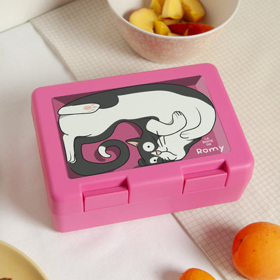 Boîte à goûter