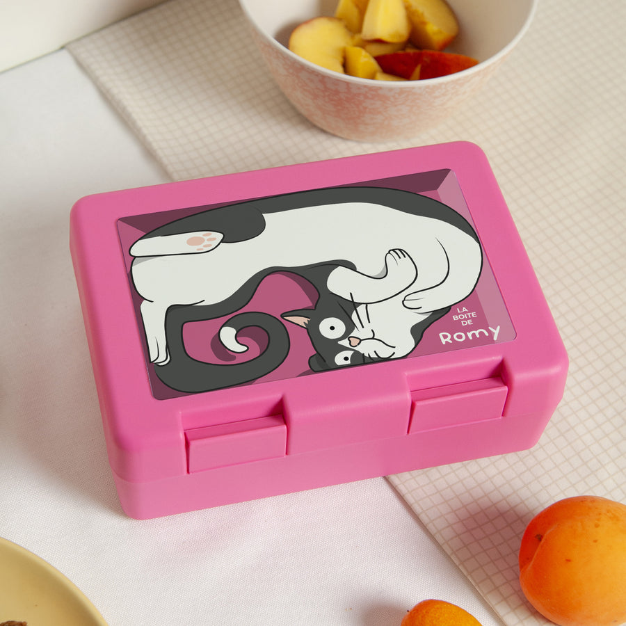 Boite goûter Rose Boite à chat photo