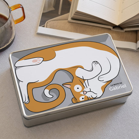 Boite métallique Rectangle Boite à chat