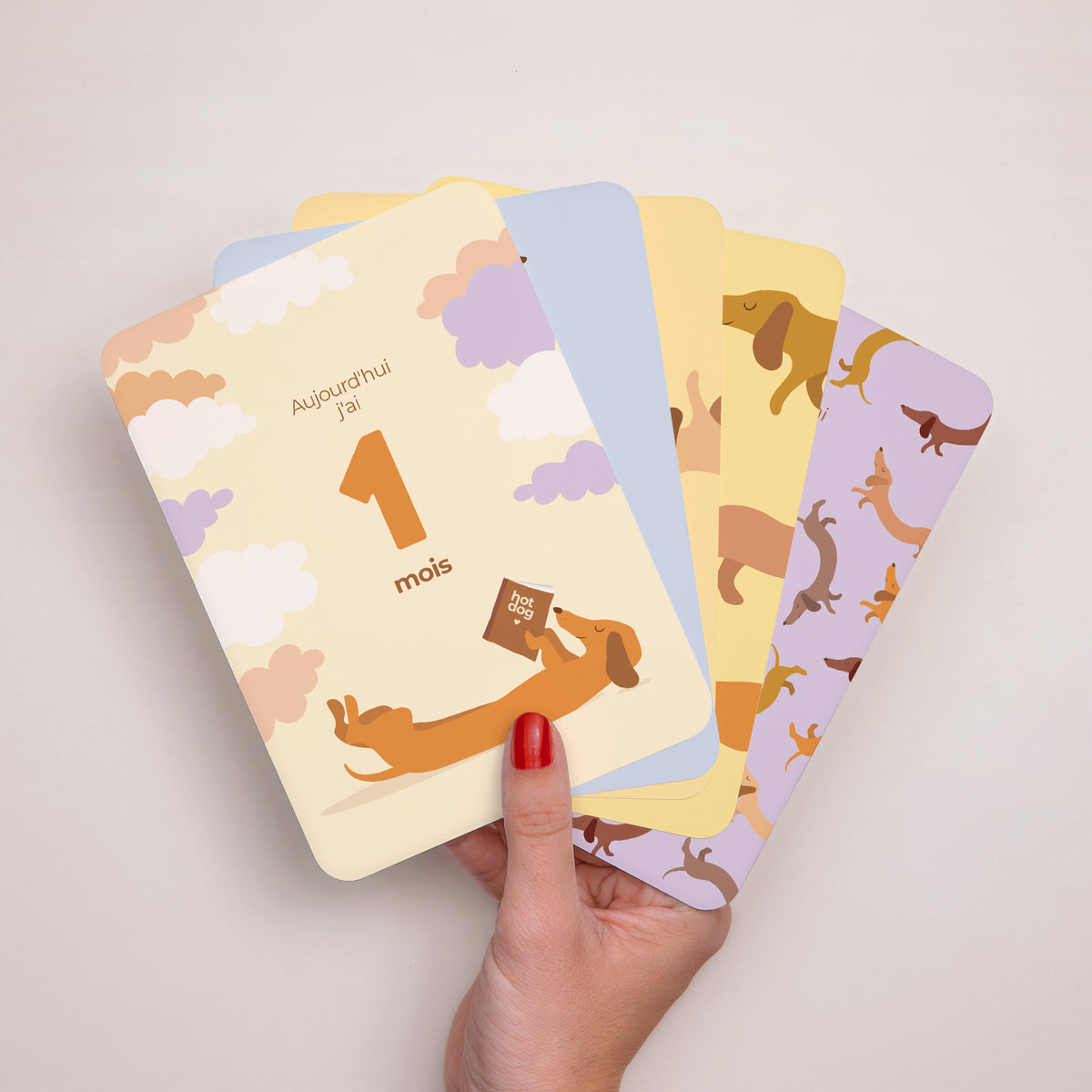 Carte étape bébé Naissance Lot de 12 Hot dog colors photo N° 1