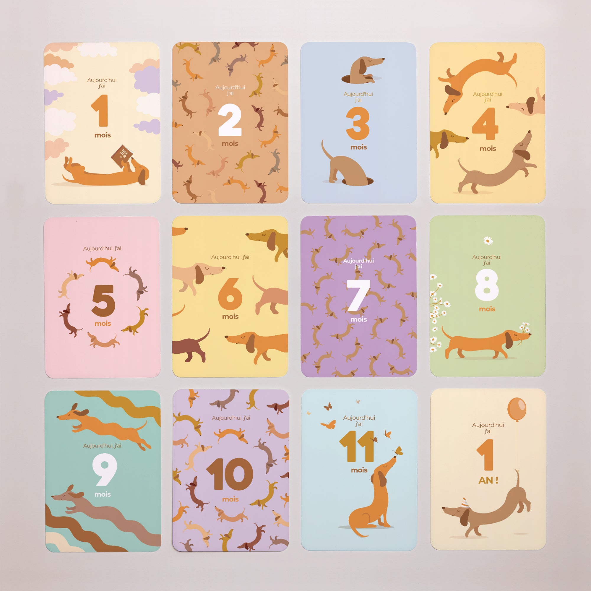 Carte étape bébé Naissance Lot de 12 Hot dog colors photo N° 3