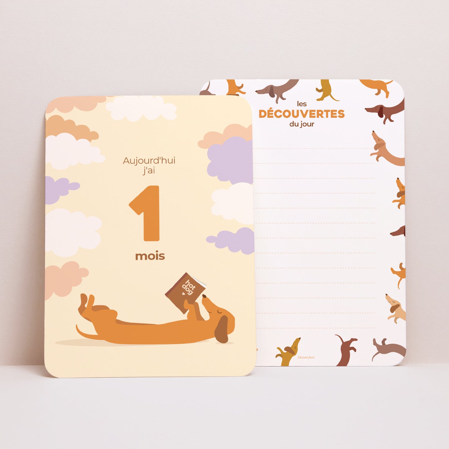 Carte étape bébé Naissance Lot de 12 hot dog colors photo N° 4