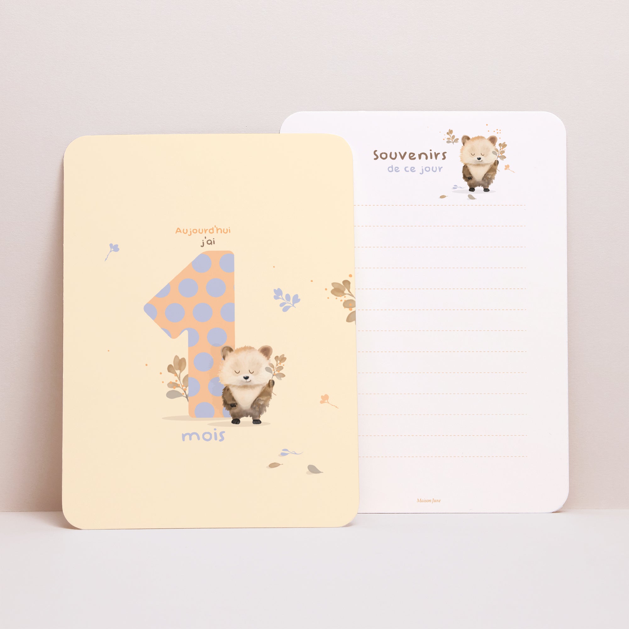 Carte étape bébé Naissance Lot de 12 Les animinis photo N° 4
