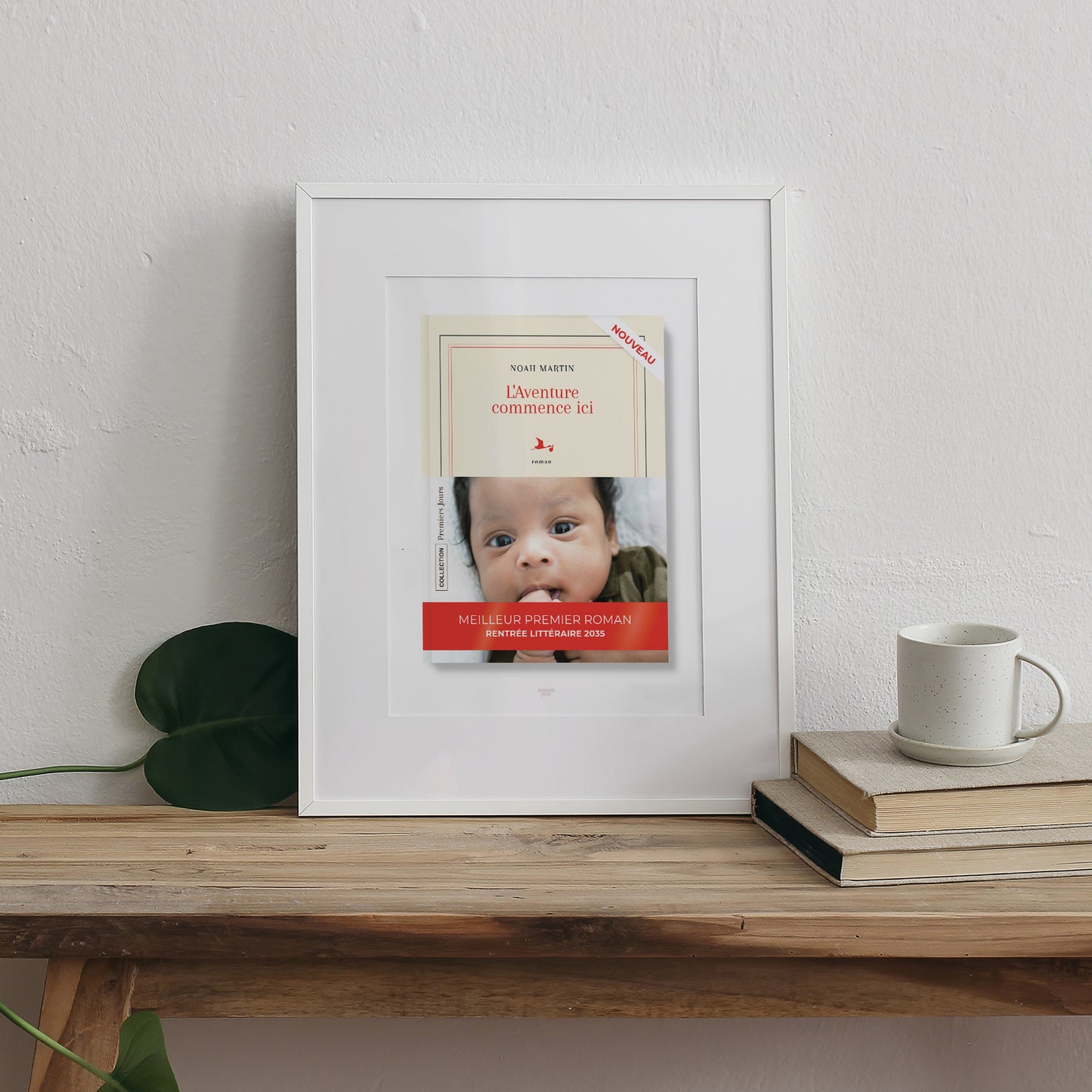 Affiche Naissance Portrait Premier roman photo N° 3