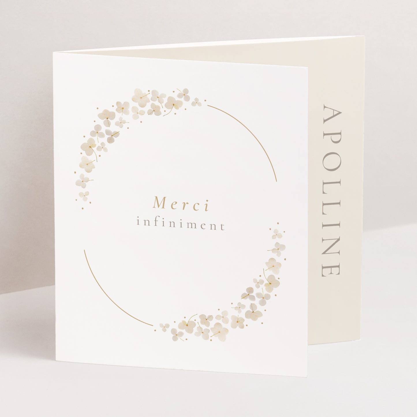 Remerciements Naissance Triptyque asymétrique Première Éclosion photo N° 1