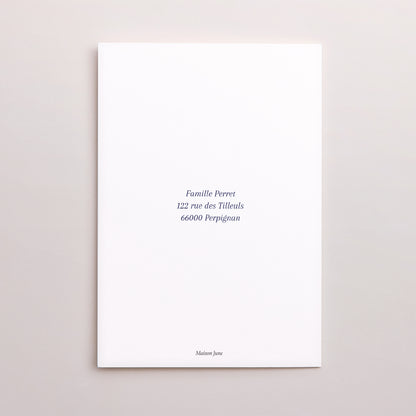 Carte de voeux Fin d'année Double volet portrait Flocons de Noël photo N° 3