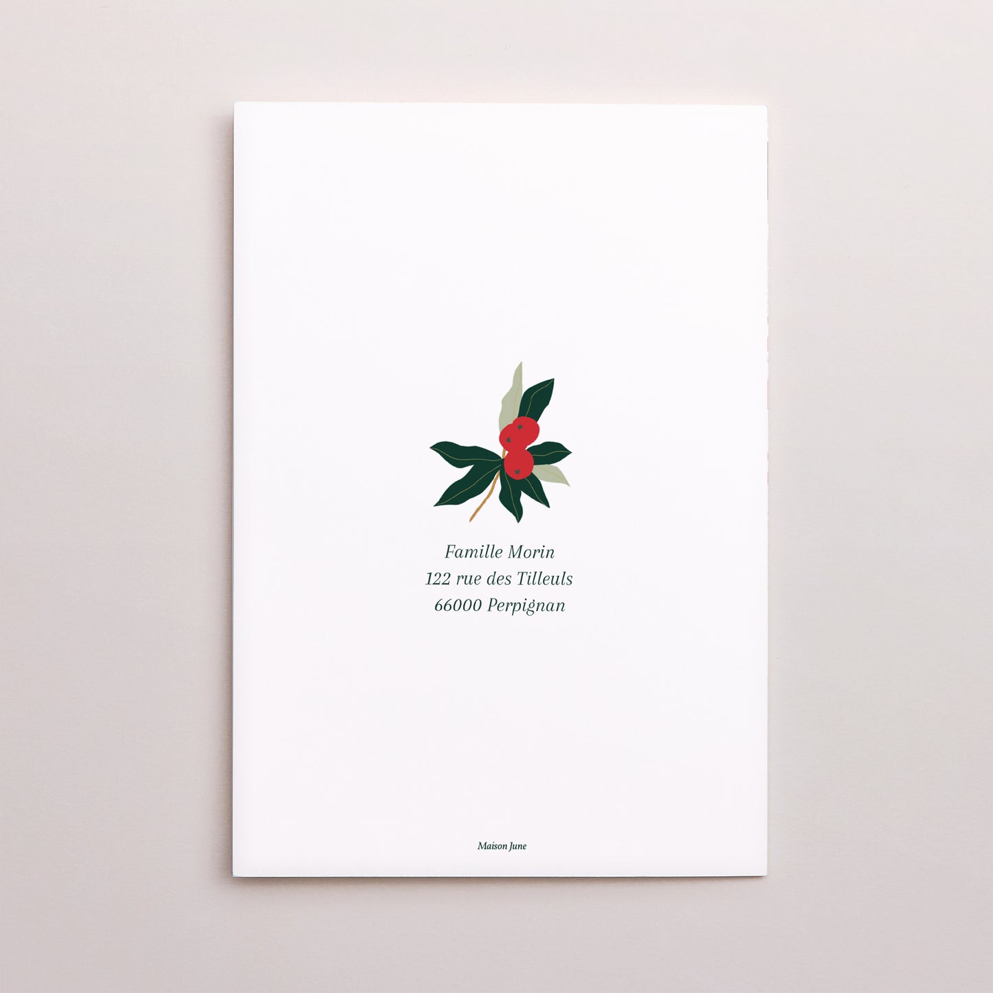 Carte de Noel Fin d'année Double volet portrait Houx & Sucre d’Orge photo N° 3