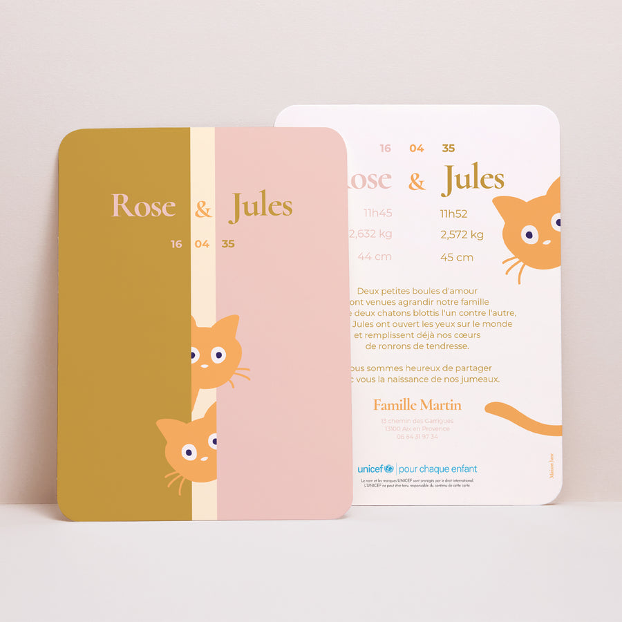 Faire-part Naissance Portrait, bords arrondis Chatons d'amour photo