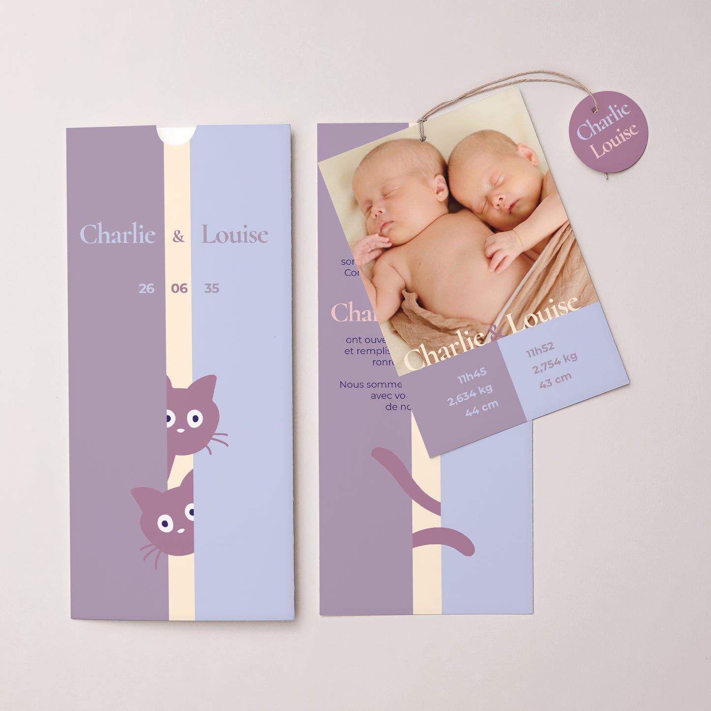 Faire-part Naissance Pochette portrait 2 cartes, étiquette Deux petits chatons photo N° 3