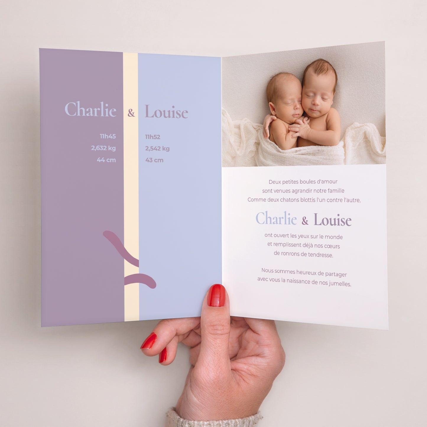 Faire-part Naissance Portrait double volet Deux petits chatons photo N° 2