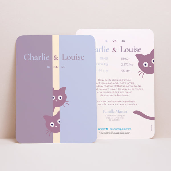 Faire-part Naissance Portrait, bords arrondis Deux petits chatons photo