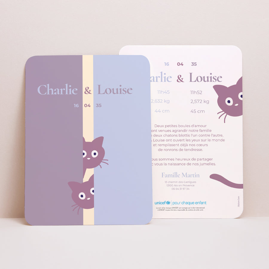 Faire-part Naissance Portrait, bords arrondis Deux petits chatons photo