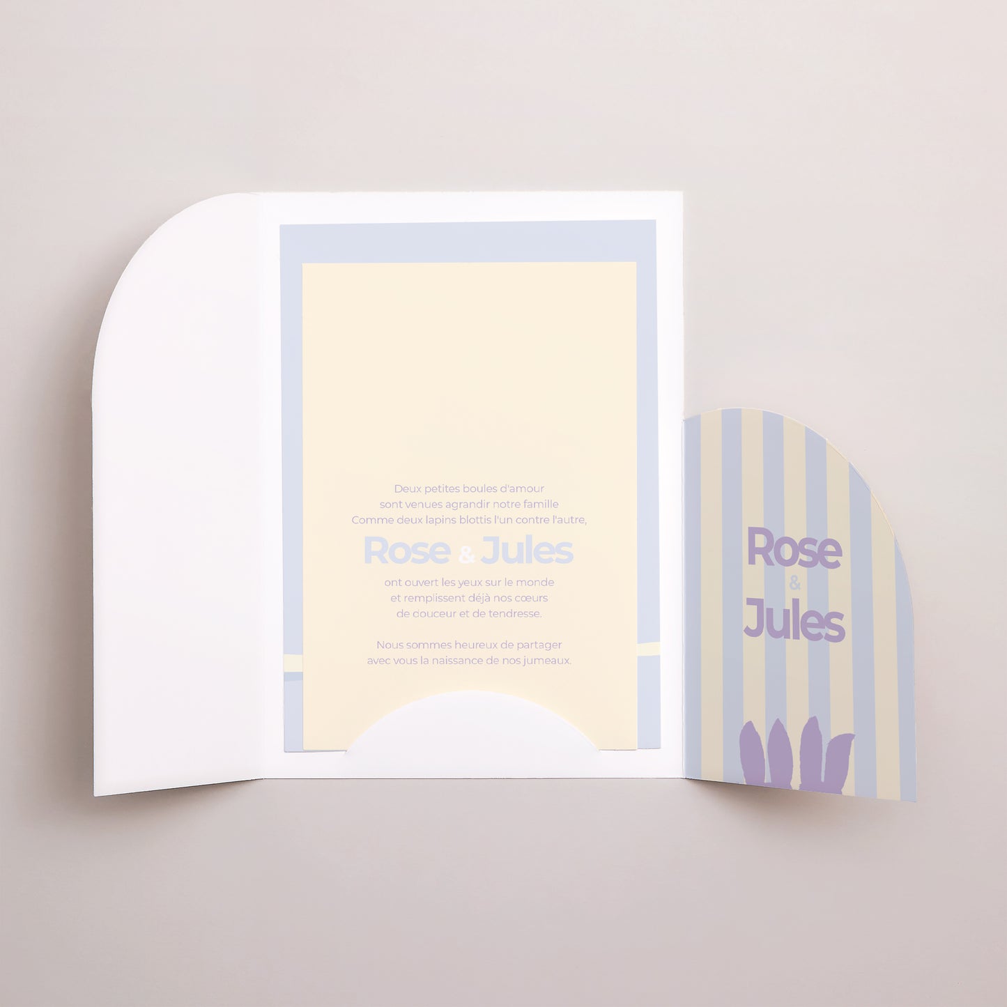 Faire-part Naissance Pochette 2 cartes Jumeaux lapins photo N° 3