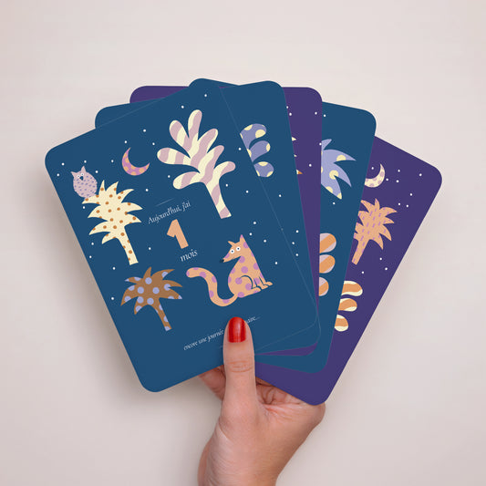 Carte étape bébé Naissance Lot de 12 L'extraordinaire aventure photo