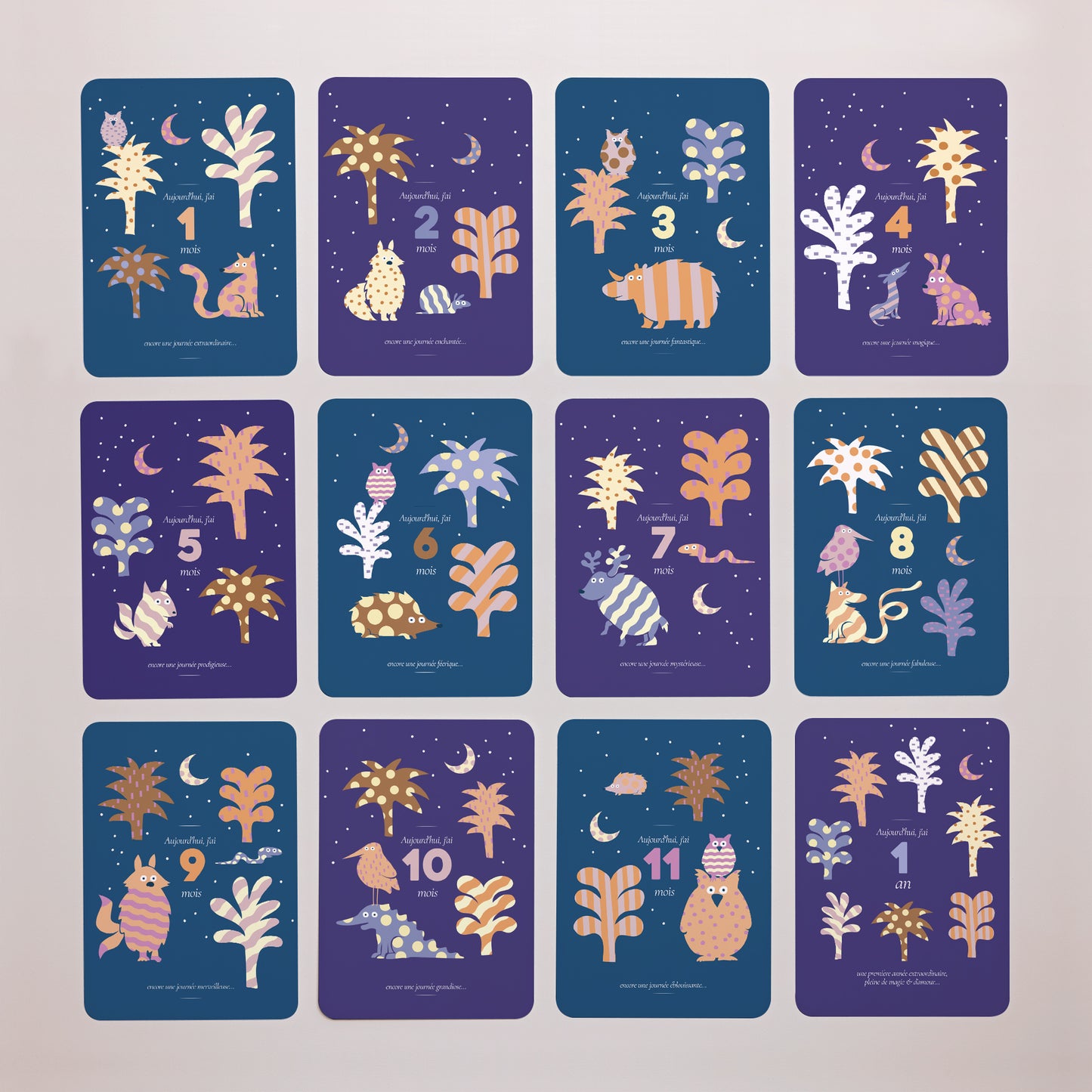 Carte étape bébé Naissance Lot de 12 L'extraordinaire aventure photo N° 3