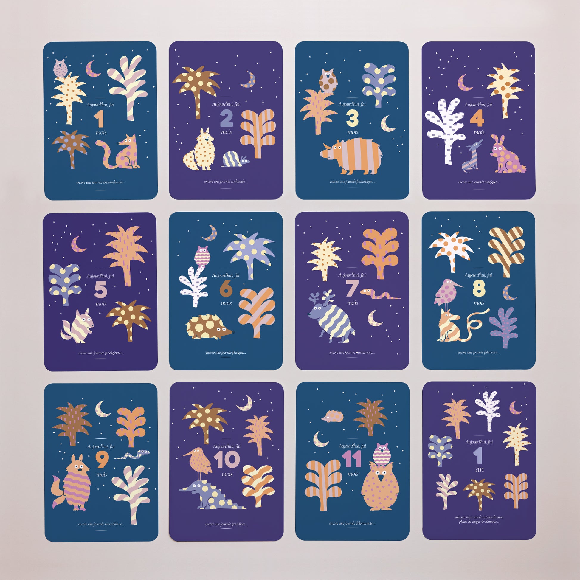 Carte étape bébé Naissance Lot de 12 L'extraordinaire aventure photo N° 3