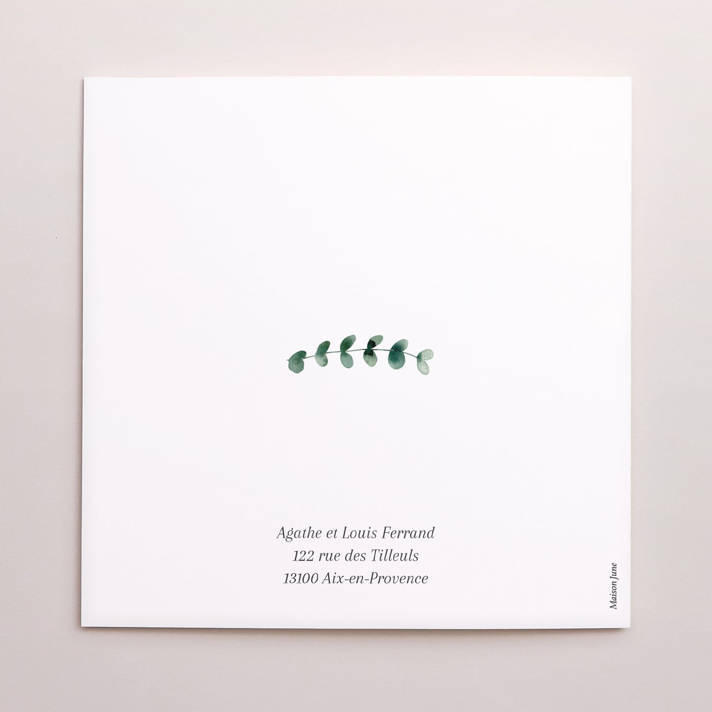 Faire-part Baptême Carré double volet Feuilles de Lumière photo N° 3