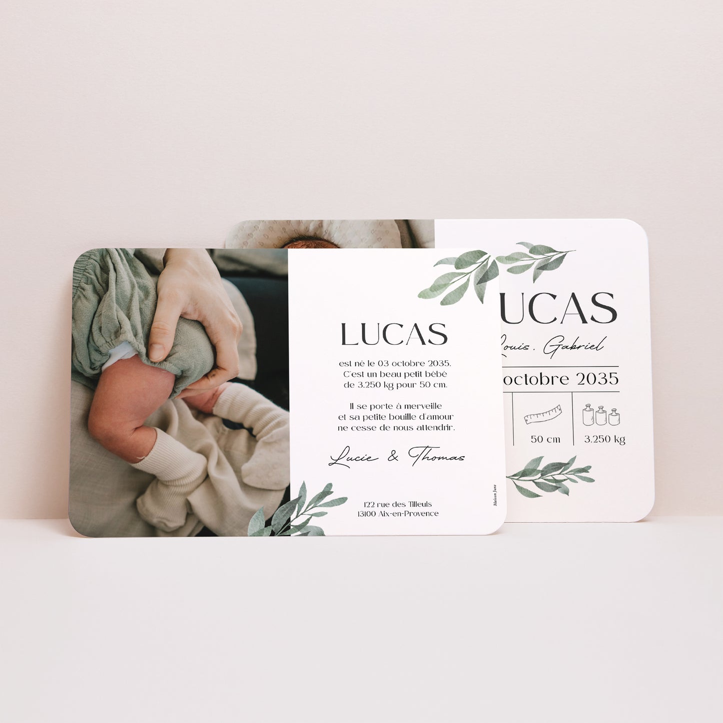 Faire-part Naissance Paysage, bords arrondis Brin de Vie photo N° 3