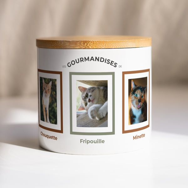 Boîte à croquettes 48 cl Galerie de Câlins photo