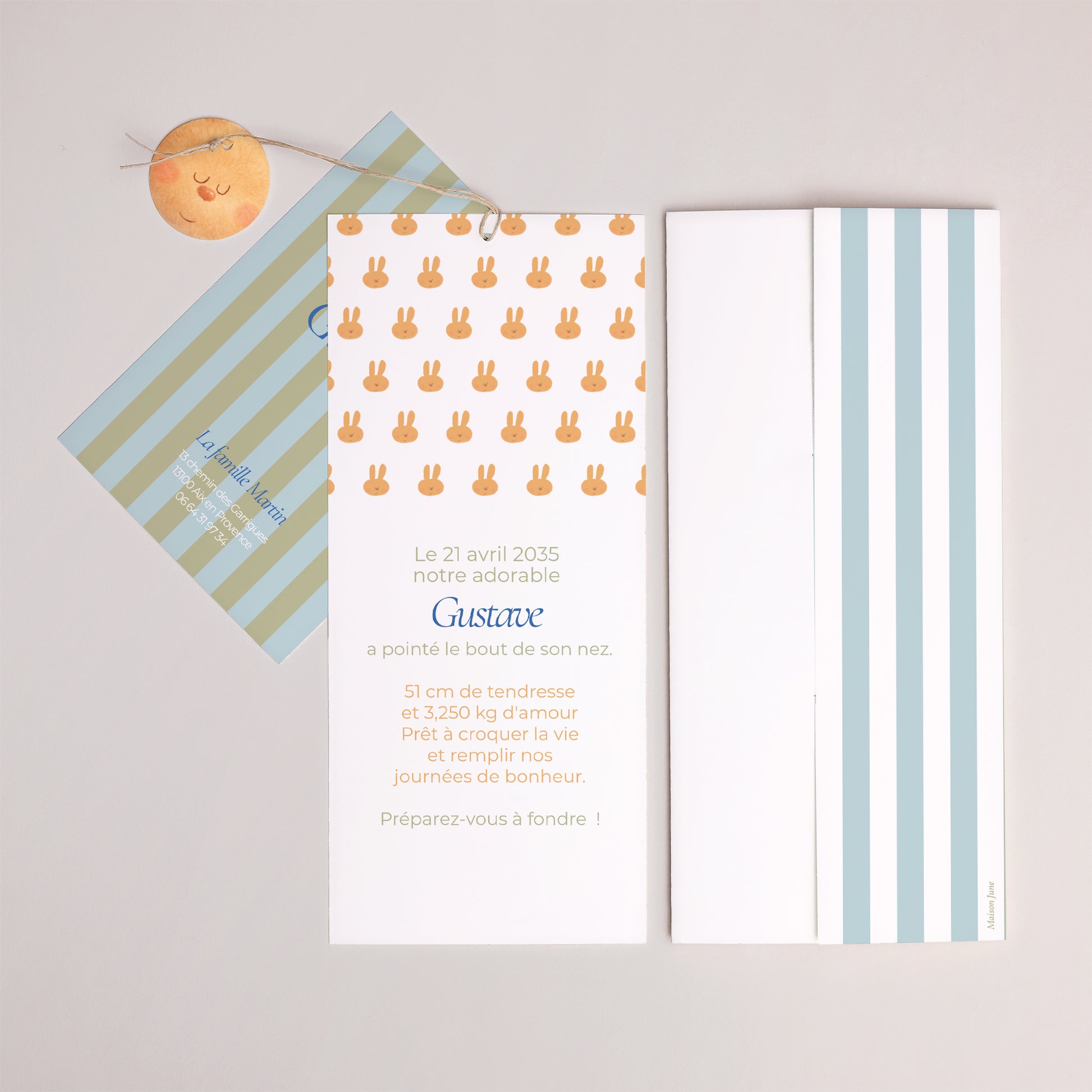 Faire-part Naissance Pochette portrait 2 cartes, étiquette Doudou lapin rêveur photo N° 4