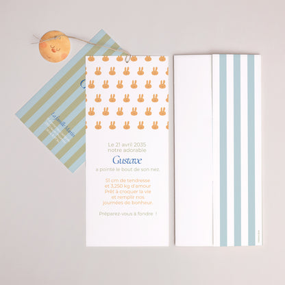 Faire-part Naissance Pochette portrait 2 cartes, étiquette Doudou lapin rêveur photo N° 4