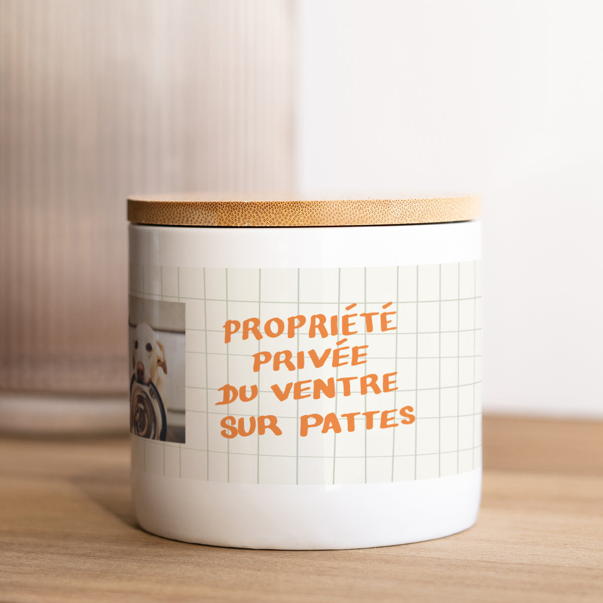 Boîte à croquettes 48 cl Ventre sur Pattes photo N° 2