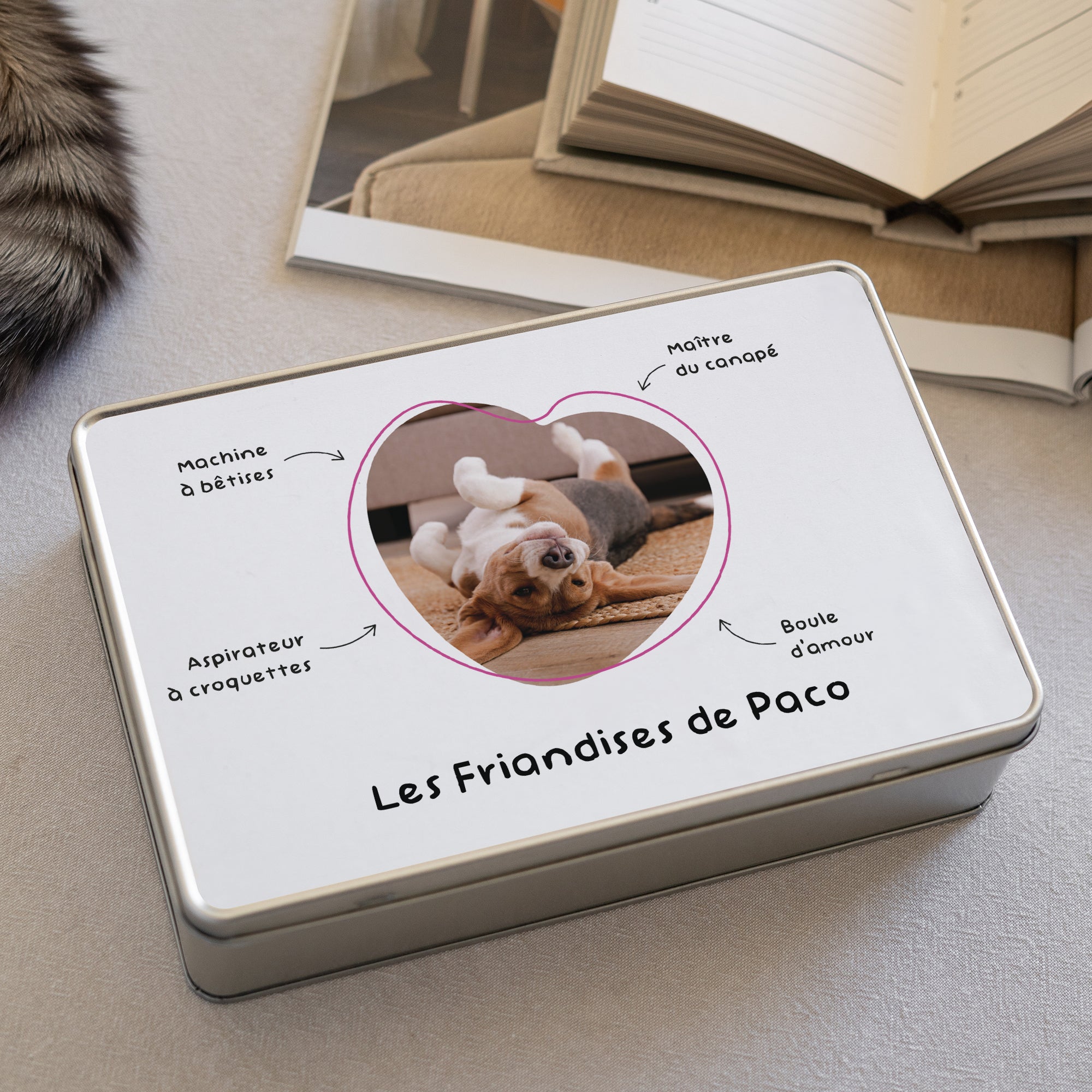 Boîte à croquettes Rectangle Adorable Petit Filou photo N° 2