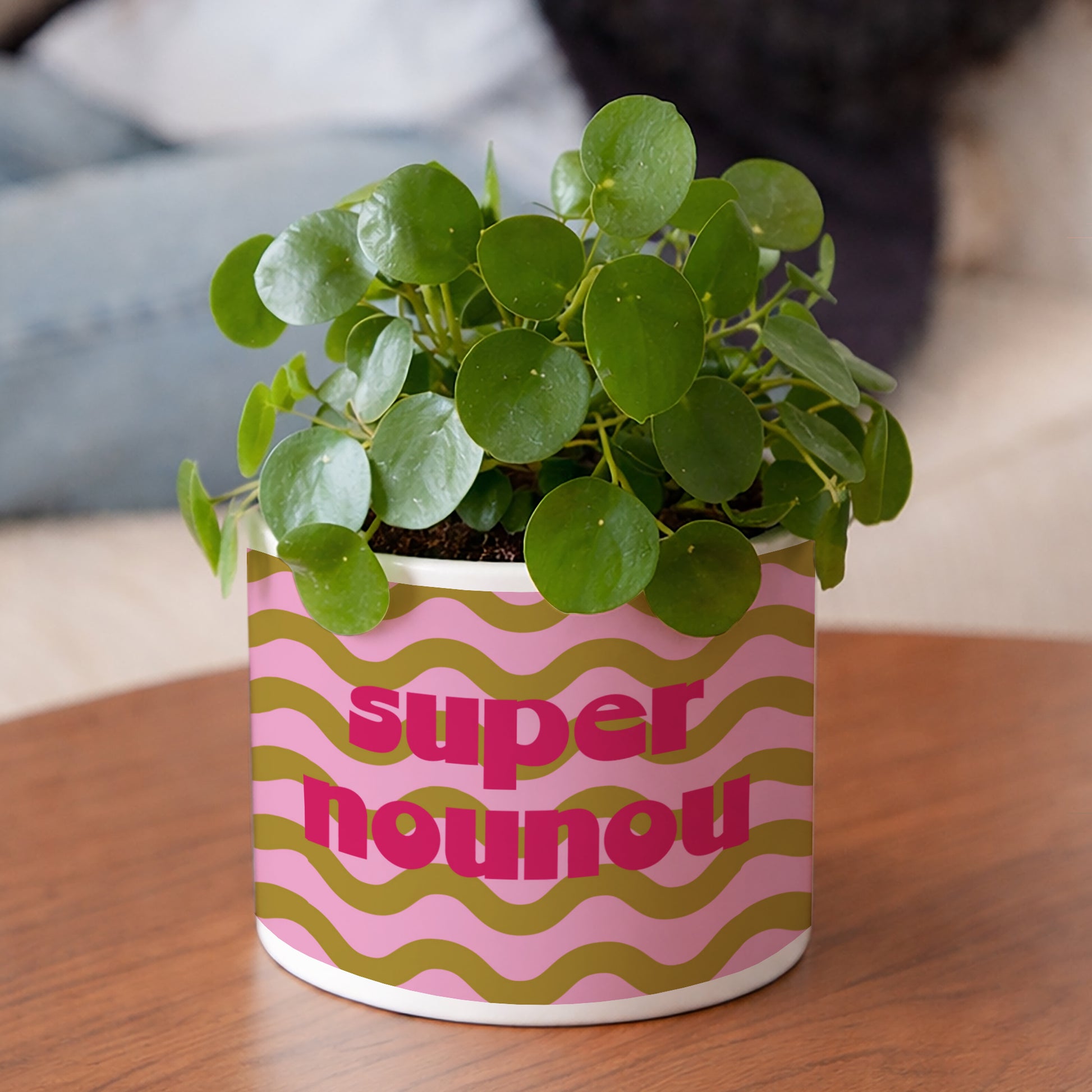Pot de fleurs 48 cl Super Nanny photo N° 2