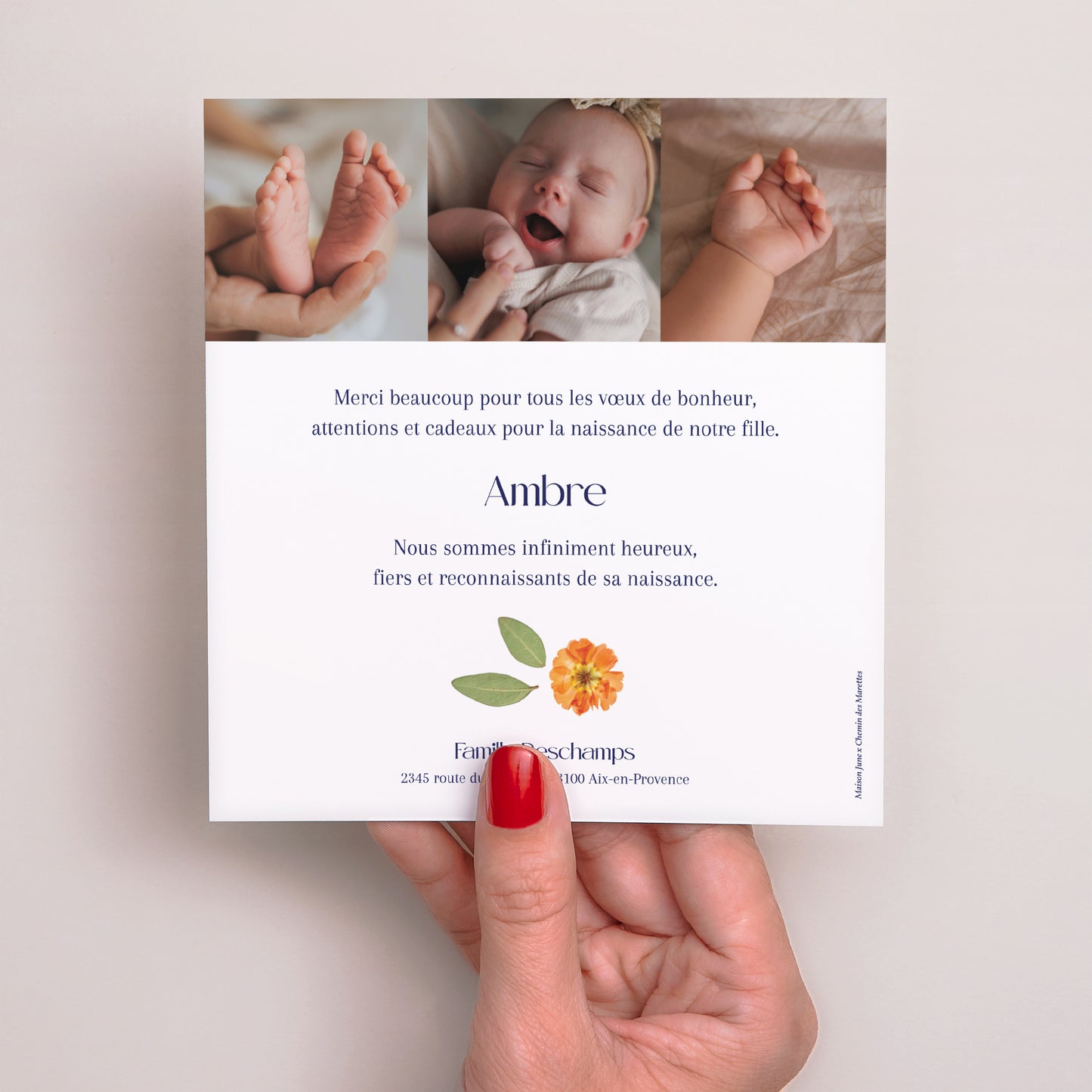 Remerciements Naissance Carré L'Herbier Enchanté photo N° 3