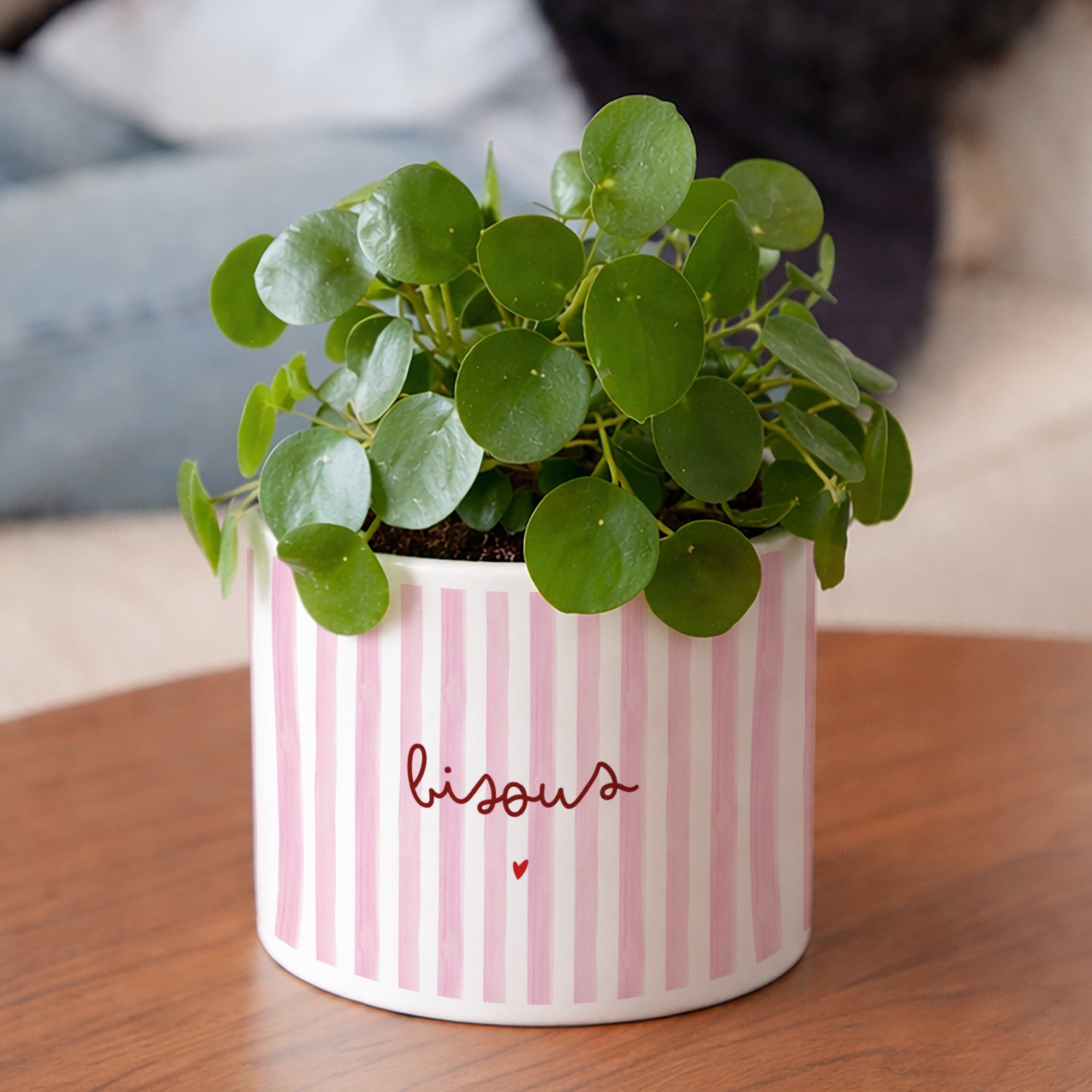 Pot de fleurs 48 cl Bisous rayures photo N° 2