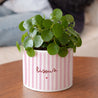 Pot de fleurs 48 cl Bisous rayures photo N° 2