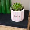 Pot de fleurs 48 cl Bisous rayures photo N° 3