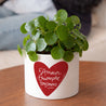 Pot de fleurs 48 cl L'Amour Triomphe Toujours photo N° 2