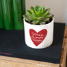 Pot de fleurs 48 cl L'Amour Triomphe Toujours photo N° 3