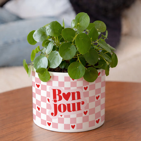 Pot de fleurs 48 cl Bonjour