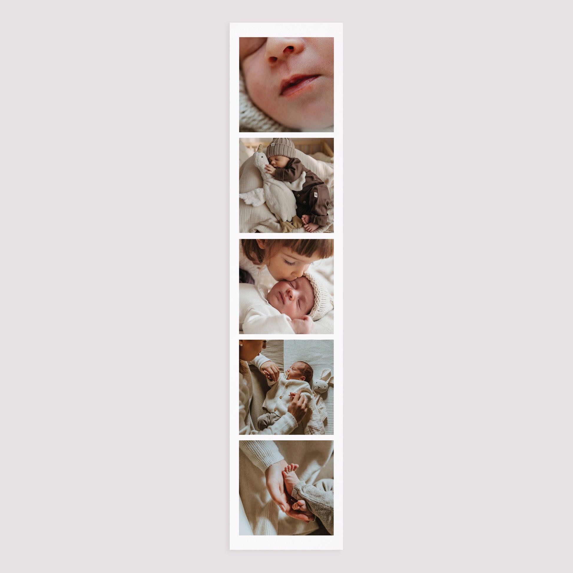 Affiche Papier Portrait mural photo N° 3