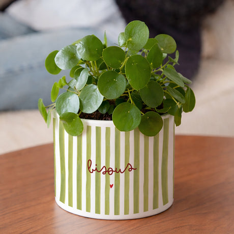 Pot de fleurs 48 cl Bisous Rayures Verte
