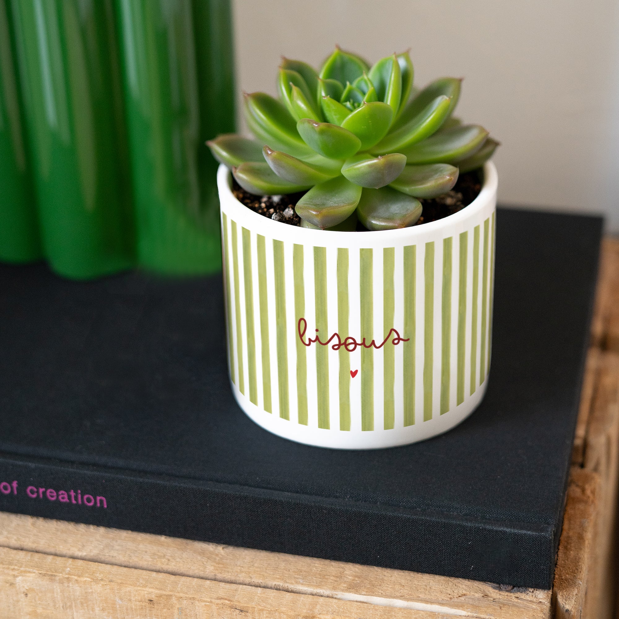 Pot de fleurs 48 cl Bisous Rayures Verte photo N° 3