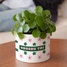 Pot de fleurs 48 cl Coucou Toi photo N° 2