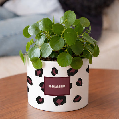 Pot de fleurs 48 cl Solaire photo N° 2