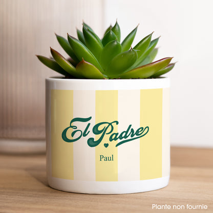 Pot de fleurs 48 cl El Padre photo N° 1