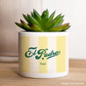 Pot de fleurs 48 cl El Padre photo N° 1