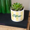 Pot de fleurs 48 cl El Padre photo N° 3