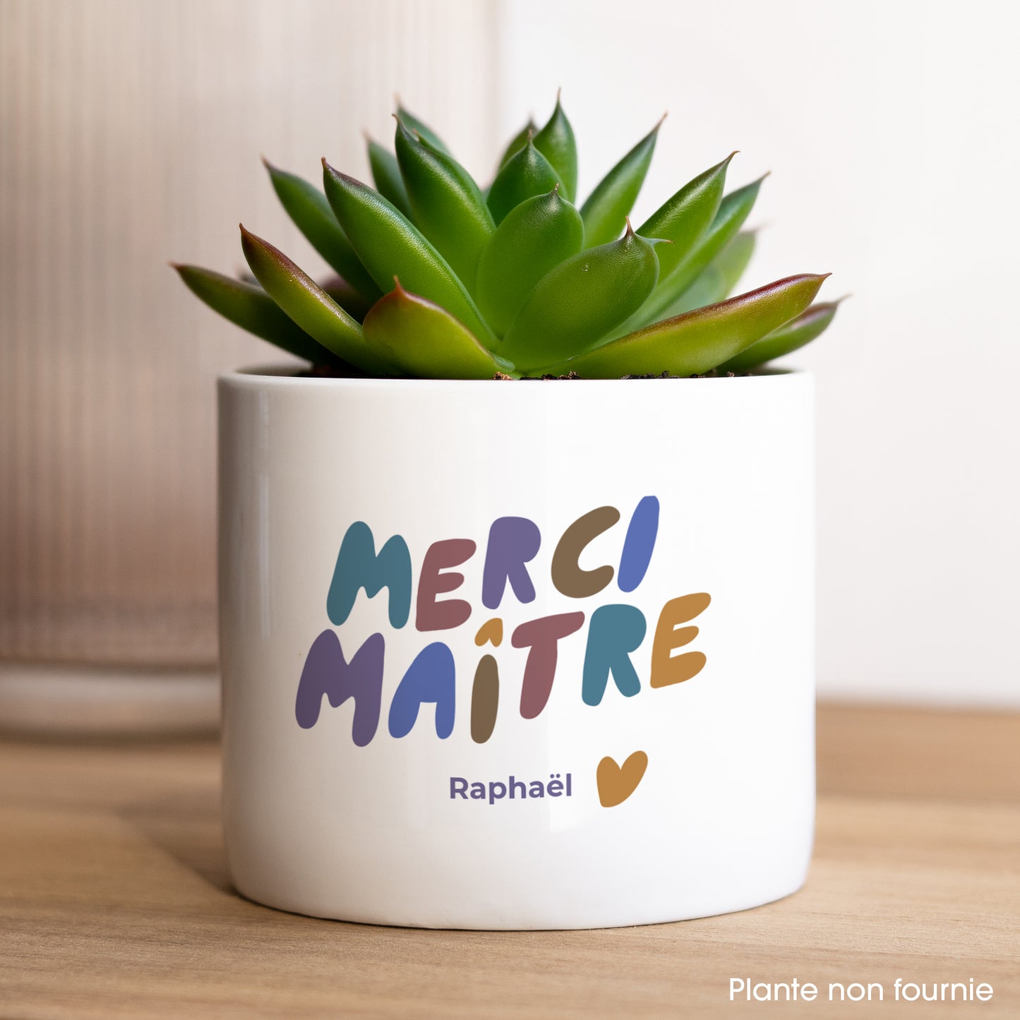 Pot de fleurs 48 cl Merci Maître photo N° 1