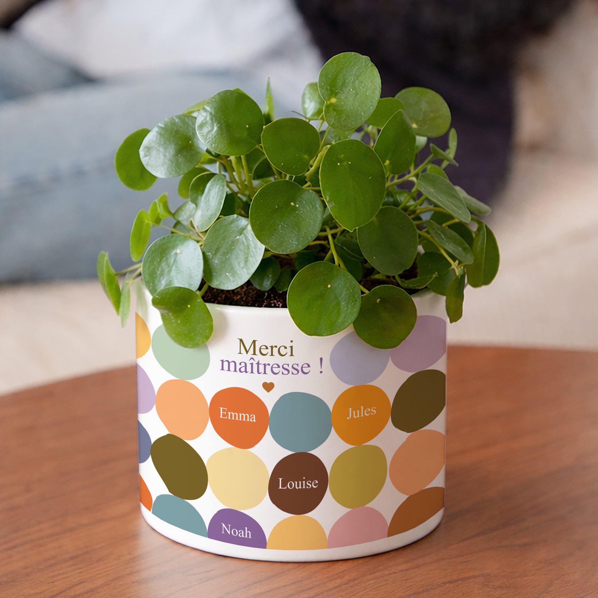 Pot de fleurs 48 cl Multi-color Merci photo N° 2